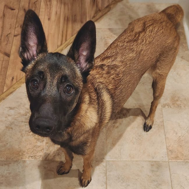 ac074311-764c-4600-8eba-6cdea348b246